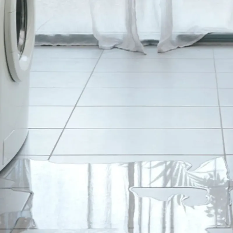 Appliance Leak Cleanup in Granger, WA