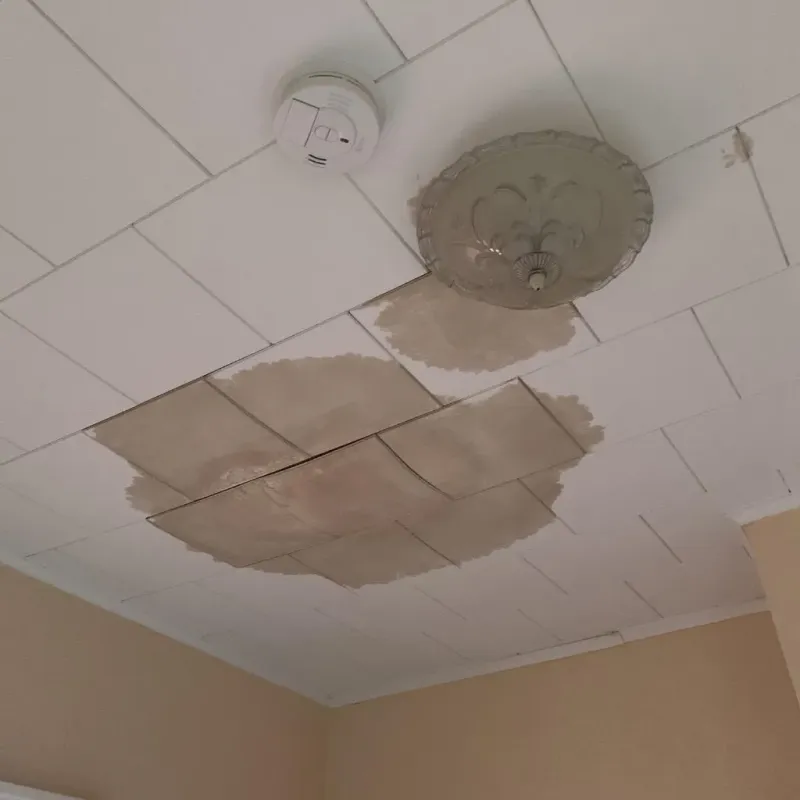 Ceiling Water Damage Repair in Granger, WA