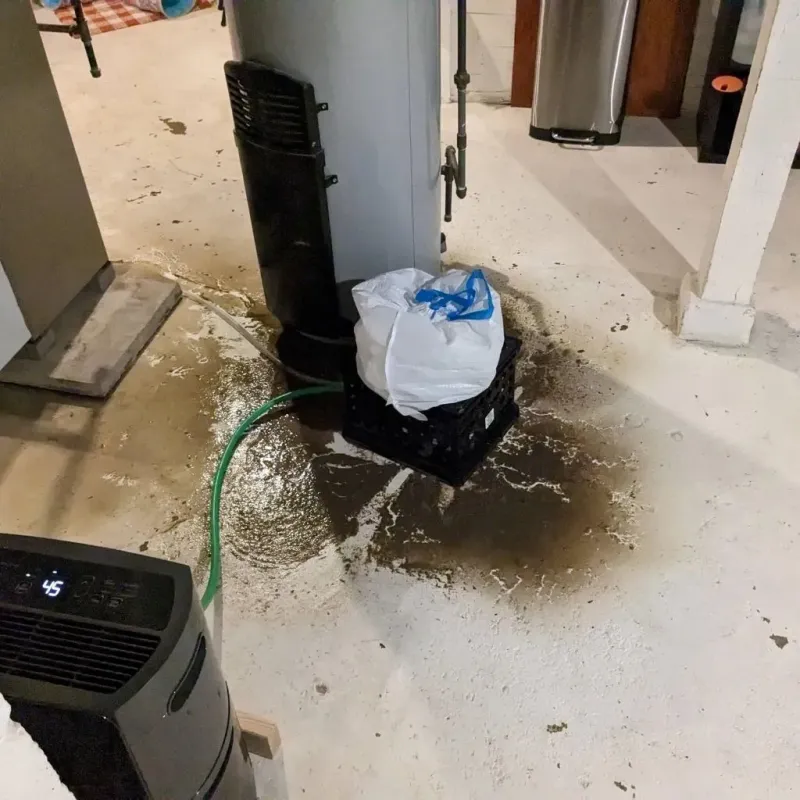Sewage Backup Cleanup Service in Granger, WA